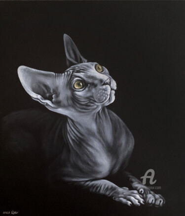 Peinture intitulée "Portrait of Sphynx" par Olga Tsvetkova, Œuvre d'art originale, Huile