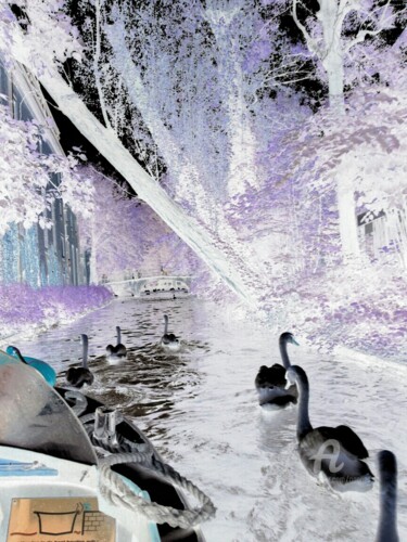 Arts numériques intitulée "BLUE SWANS" par Grafi, Œuvre d'art originale