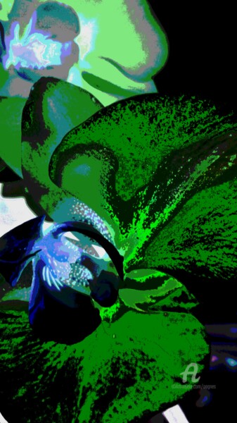 Photographie intitulée "BLUE ORCHID" par Grafi, Œuvre d'art originale