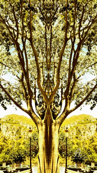 Photographie intitulée "GOLD TREE" par Grafi, Œuvre d'art originale