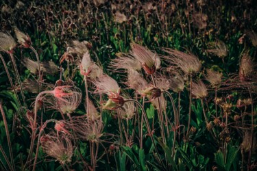 Photographie intitulée "Punk's Not Dead" par Oana Bakovic, Œuvre d'art originale, Photographie numérique