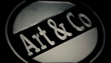 Photography titled "Art and Co" by Anthony Hochet, Original Artwork