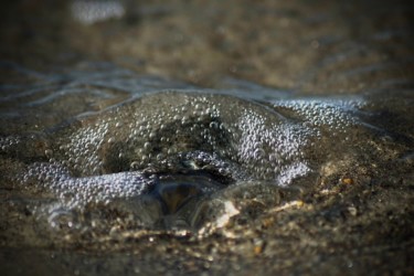 Photography titled "coquillage englouti" by Anthony Hochet, Original Artwork, Digital Photography