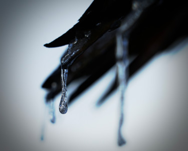 Photographie intitulée "Ice tears" par Anthony Hochet, Œuvre d'art originale, Photographie numérique