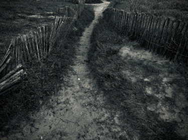 Fotografía titulada "chemin vers ...." por Anthony Hochet, Obra de arte original, Fotografía digital