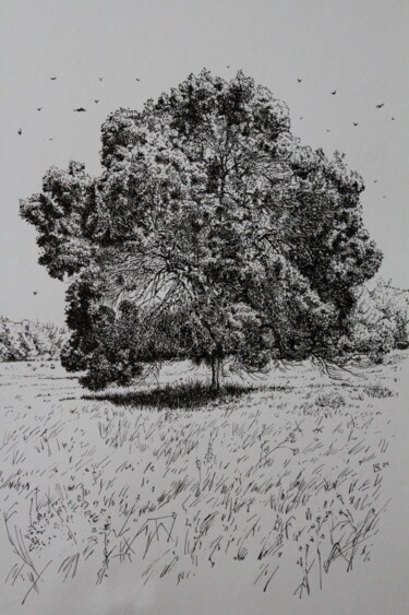 Dibujo titulada "A Tree in The Field" por Spartak Chernyshov, Obra de arte original, Tinta