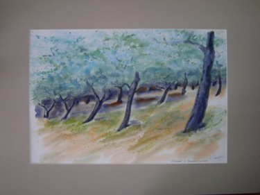 Peinture intitulée "oliveraie a rozasia" par Daniel Campagne, Œuvre d'art originale