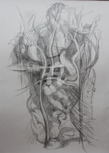 Dessin intitulée "paysage intérieur 2" par Odélo, Œuvre d'art originale, Crayon