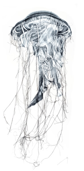 Art textile intitulée "La gelée des mers" par Odile Guichard, Œuvre d'art originale, Broderie Monté sur Châssis en bois