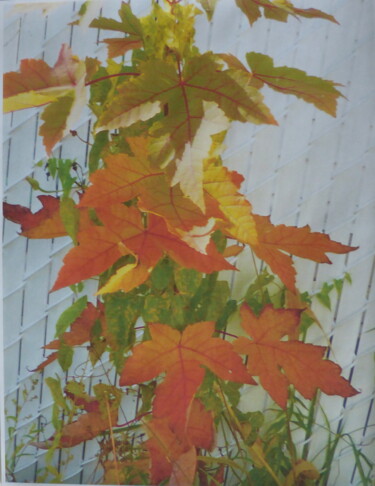 Photographie intitulée "Souvenirs d'automne" par Odilon Talbot, Œuvre d'art originale, Photographie numérique