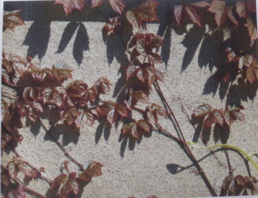 Photographie intitulée "L'Envahisseur" par Odilon Talbot, Œuvre d'art originale, Photographie numérique