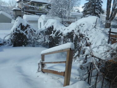 Photography titled "Mon patio arrière e…" by Odilon Talbot, Original Artwork, Non Manipulated Photography