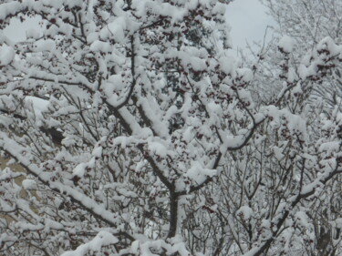 Photographie intitulée "Une bordée de neige…" par Odilon Talbot, Œuvre d'art originale, Photographie non manipulée