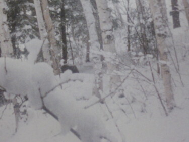 Photographie intitulée "Plaisir d'hiver au…" par Odilon Talbot, Œuvre d'art originale, Photographie numérique