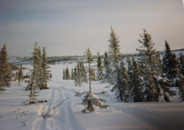 Photographie intitulée "Paysage nordique qu…" par Odilon Talbot, Œuvre d'art originale, Photographie numérique