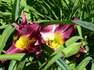 Photographie intitulée "Duo de fleurs viole…" par Odilon Talbot, Œuvre d'art originale, Image générée par l'IA