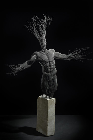 Rzeźba zatytułowany „The Gaze” autorstwa Ofer Rubin, Oryginalna praca, Metale