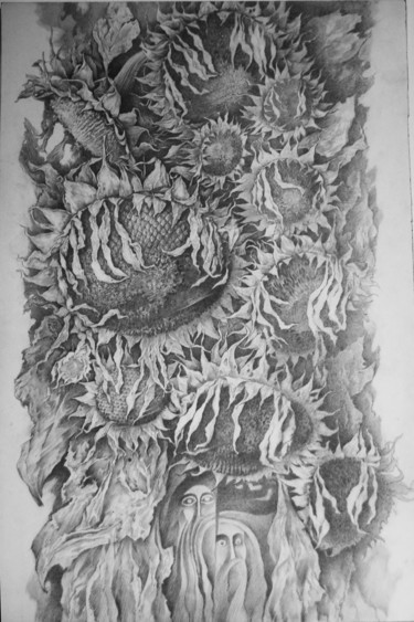 Drawing titled "подсолнухи" by Oksana Prudnikova, Original Artwork, Pencil