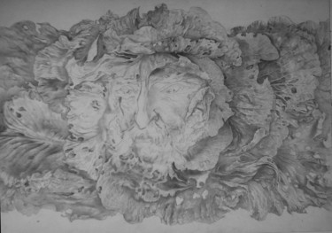 Desenho intitulada "капуста" por Oksana Prudnikova, Obras de arte originais, Lápis