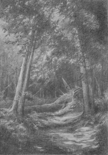 Drawing titled "Light in the forest…" by Oksana Duchenchuk, Original Artwork, Pencil