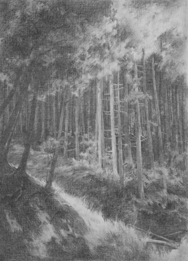 Drawing titled "Light in the forest…" by Oksana Duchenchuk, Original Artwork, Pencil