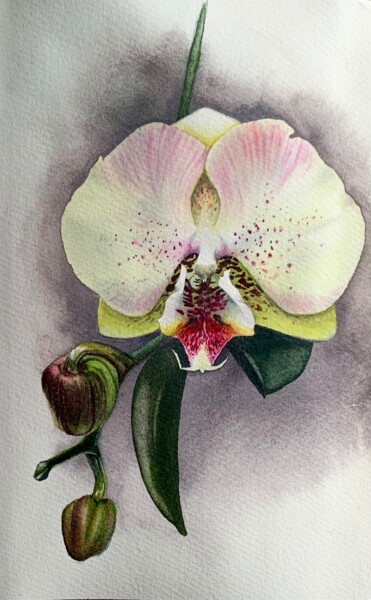Peinture intitulée "Орхидея" par Oksana Kuzmina (Soult), Œuvre d'art originale, Aquarelle