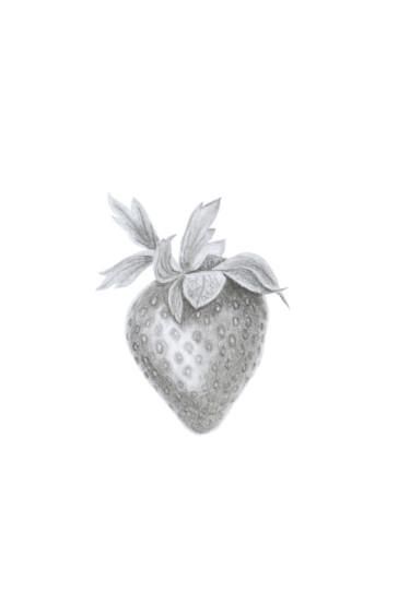 Dibujo titulada "Strawberry" por Oksana Oleksiiva, Obra de arte original, Lápiz
