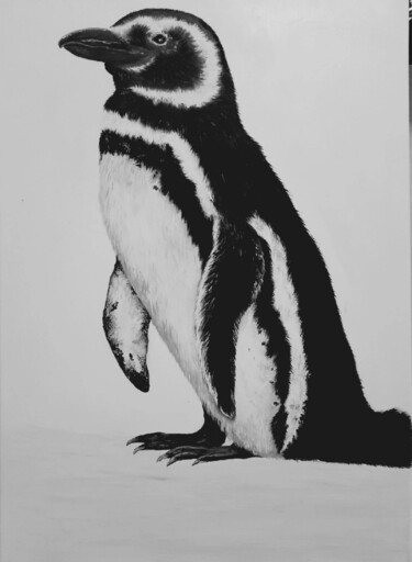 Painting titled "Магелланов пингвин" by Oksana Riabova, Original Artwork, Oil