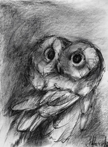 Zeichnungen mit dem Titel "Charcoal tawny owl…" von Oksana Shkrebets, Original-Kunstwerk, Kohle