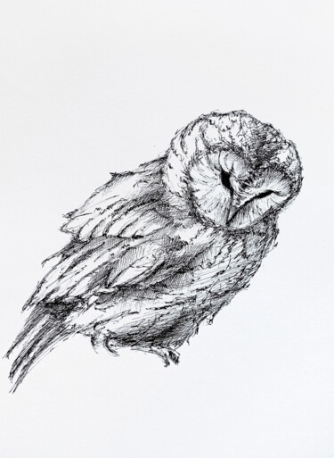 Zeichnungen mit dem Titel "Ink owl #1" von Oksana Shkrebets, Original-Kunstwerk, Tinte