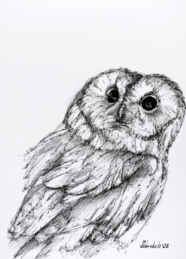 图画 标题为“Ink owl #2” 由Oksana Shkrebets, 原创艺术品, 墨