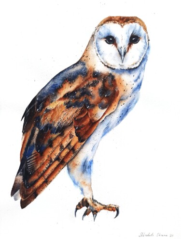 Malerei mit dem Titel "Watercolor barn owl" von Oksana Shkrebets, Original-Kunstwerk, Aquarell