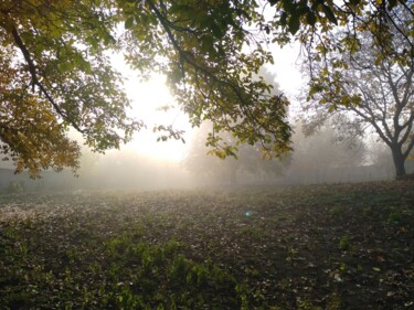Фотография под названием ""Утренний пейзаж"" - Оксана Верстюк, Подлинное произведение искусства, Цифровая фотография