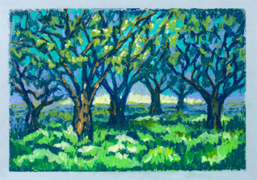 Desenho intitulada "Olive grove" por Oksana Muzyka, Obras de arte originais, Pastel