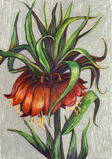 Dessin intitulée "Fritillaria small" par Oksana Muzyka, Œuvre d'art originale, Pastel