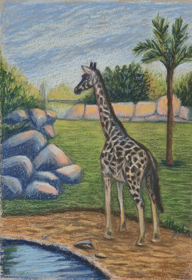Disegno intitolato "Giraffe in Valencia…" da Oksana Muzyka, Opera d'arte originale, Pastello