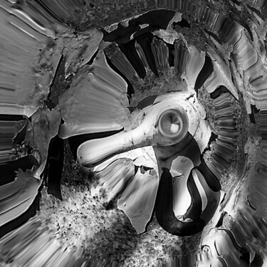 Цифровое искусство под названием "Технокрыс" - Ольга Ильина, Подлинное произведение искусства, Манипулированная фотография