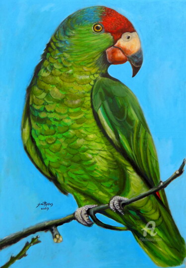 Schilderij getiteld "Oh Parrot" door Olaoluwa Smith, Origineel Kunstwerk, Acryl