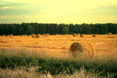 Photography titled "Hay.jpg" by Oleg Abaimov, Original Artwork