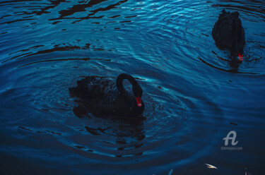 Photography titled "texture de l'eau" by Oleg Andrienko, Original Artwork, Digital Photography
