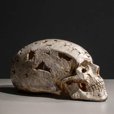 Sculpture intitulée "Skull #9 / ocher" par Oleg Davydenko, Œuvre d'art originale, Céramique