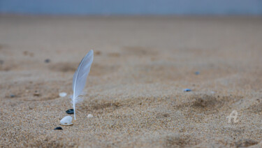 Fotografia intitolato "Sand texture." da Oleg Marchak, Opera d'arte originale, Fotografia non manipolata