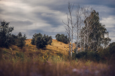 Fotografia intitolato "autumn birches" da Oleg Sukhenko, Opera d'arte originale, Fotografia digitale