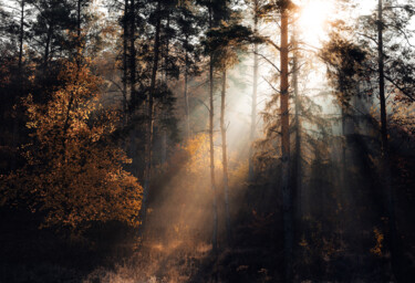 Photography titled "Morning breath" by Oleg Sukhenko, Original Artwork, Digital Photography