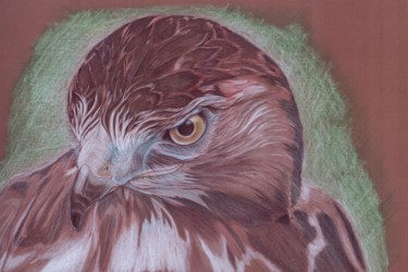 Painting titled "desert buzzard" by Oleg Kozelskiy, Original Artwork, Other