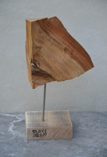 Sculpture titled "SCULPTURAL ABSTRACT…" by Oleksandr Desiat, Original Artwork, Wood