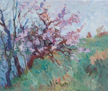 Painting titled "Apricot blooms" by Oleksandr Khrapachov, Original Artwork, Oil