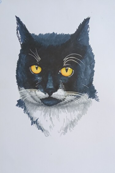 Disegno intitolato "Portrait of cat Vas…" da Oleksandr Koval, Opera d'arte originale, Pennarello
