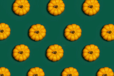 Photographie intitulée "Pumpkin ornament" par Letis, Œuvre d'art originale, Photographie numérique