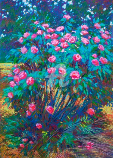 Painting titled "roses roses" by Olena Polovna, Original Artwork, Pastel